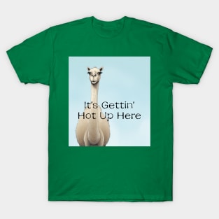 Camel It's gettin' hot in here T-Shirt